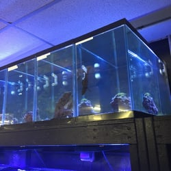 Aqua World