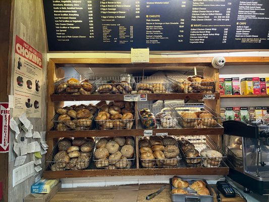 Lots O Bagels by null