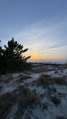 Jones Beach State Park by null