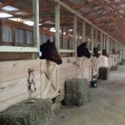 StoneRidge Stables - Stalls in indoor arena