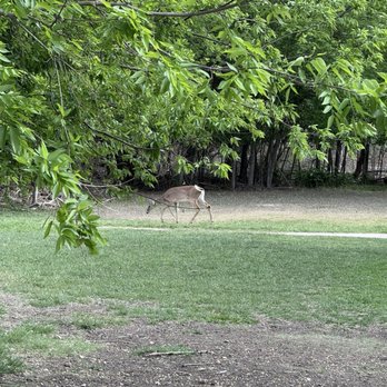 Woodcrest Park - Parks Near Me - Live Oak, Texas Woodcrest Park - Parks Near Me - Live Oak, Texas