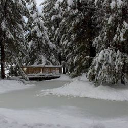 DiamondStone Guest Lodges - Manmade pond, frozen in winter, goldfish in summer if the egrets don't get 'em.   : )