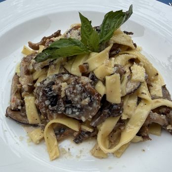 The Shell Restaurant - LOVED the fettuccine with mushrooms (it was it tagliatelle?) - Seafood Near Me - New York, New York