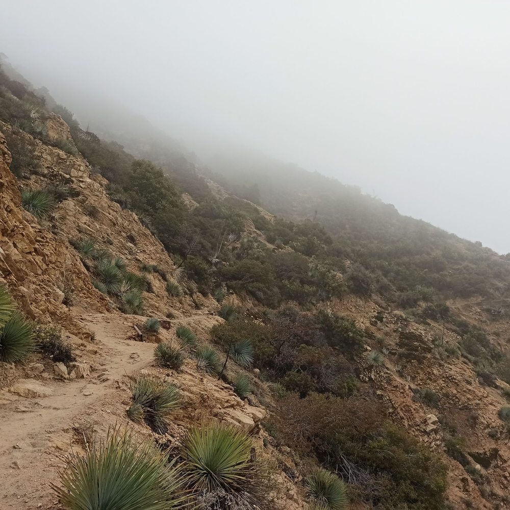 Echo Mountain via the Sam Merrill Trail - Parks Near Me - Altadena, California Echo Mountain via the Sam Merrill Trail - Parks Near Me - Altadena, California