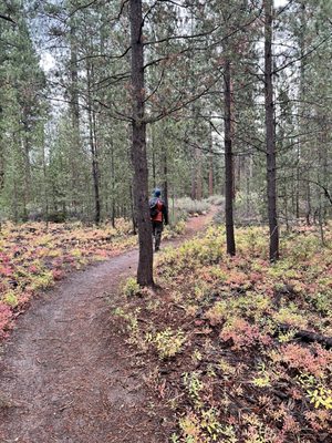 LaPine State Park by null