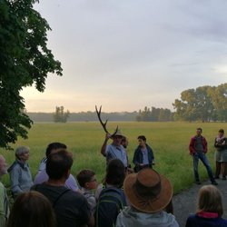 Geographie für Alle e.V. - Bild aus der Führung "Glühwürmchenwanderung im Naturschutzgebiet Mönchbruch"
