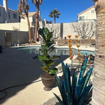 The Pool Company - Pool Cleaners Near Me The Pool Company - Pool Cleaners Near Me