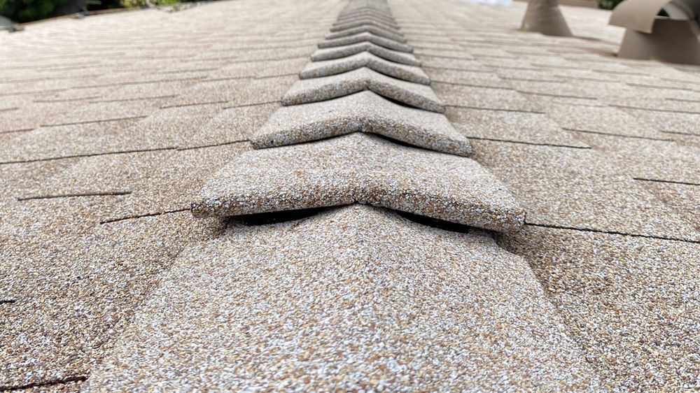 Slide of The Roofing Lady