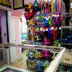 Animal House Pet Store