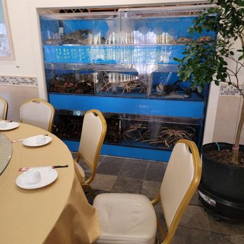 Canton Palace Chinese Restaurant - seating - Dim Sum Near Me - Somerville, New Jersey
