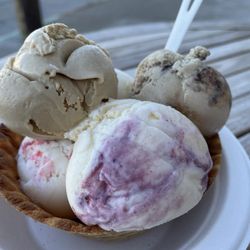 Balboa Ice Cream - 6 mini bowl