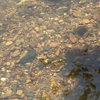 Ouachita River Haven - Campgrounds Near Me - Pencil Bluff, Arkansas