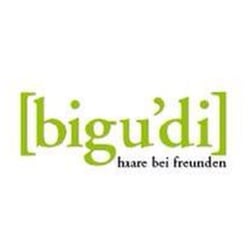 Bigudi