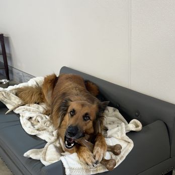Free Range Boarding - Pet Boarding Near Me - Spokane, Washington Free Range Boarding - Pet Boarding Near Me - Spokane, Washington