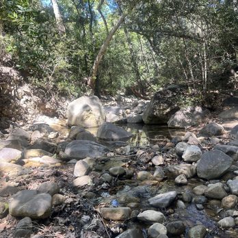 Santa Barbara Botanic Garden - the view at the rock crossing where you have to cross the creek using rocks! - Botanical Gardens Near Me - Santa Barbara, California Santa Barbara Botanic Garden - the view at the rock crossing where you have to cross the creek using rocks! - Botanical Gardens Near Me - Santa Barbara, California