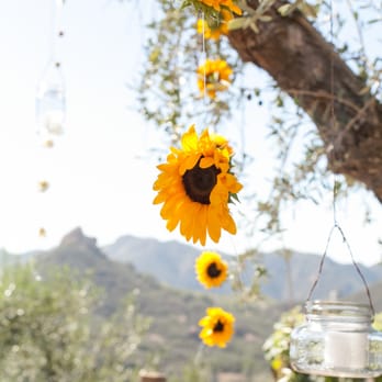 Cielo Farms - Venues & Event Spaces Near Me - Malibu, California Cielo Farms - Venues & Event Spaces Near Me - Malibu, California