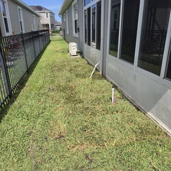 Total Maintenance Landscaping - Replaced grass - Landscaping Near Me - Cocoa, Florida