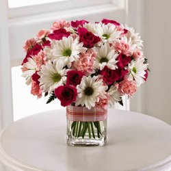 Suncoast Florist