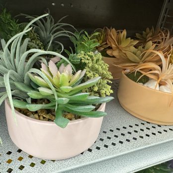 Michaels - Faux succulents - Arts & Crafts Near Me - Arlington, Texas Michaels - Faux succulents - Arts & Crafts Near Me - Arlington, Texas