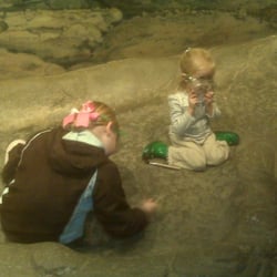 Academy of Natural Sciences - Kids digging for fossils