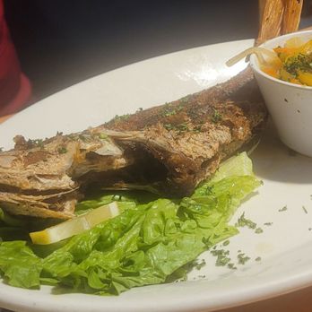La Veranda Restaurant and Bar - Whole fried snapper - Bars Near Me - Plantation, Florida La Veranda Restaurant and Bar - Whole fried snapper - Bars Near Me - Plantation, Florida