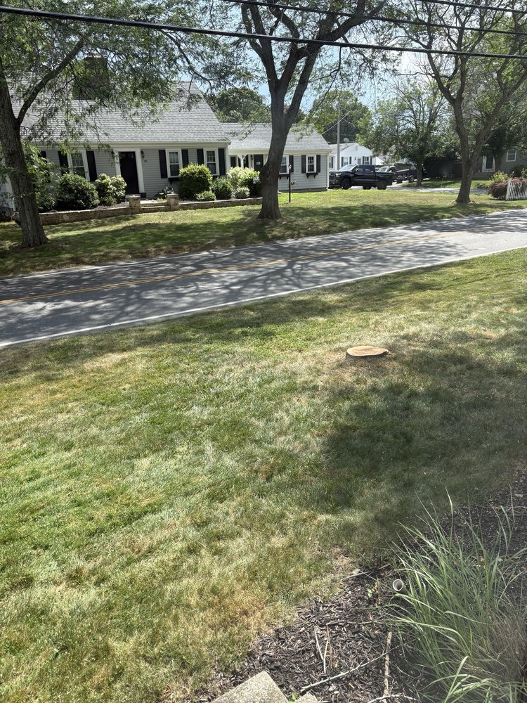 Yard Stick Tree & Site Preservation - tree service in Boston, MA