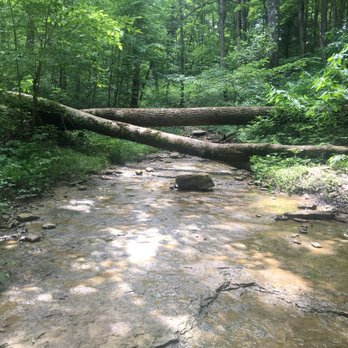 Broad Run Park - Limestone Gorge trail - Parks Near Me - Louisville, Kentucky Broad Run Park - Limestone Gorge trail - Parks Near Me - Louisville, Kentucky