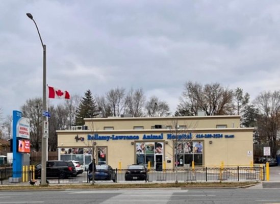 Bellamy-Lawrence Animal Hospital by null