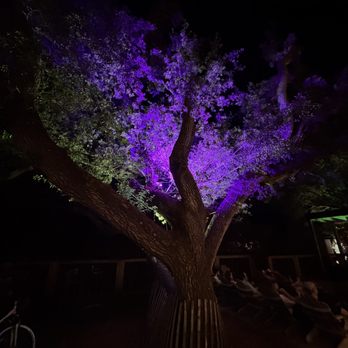 Big Beach Brewing - Mood lighting - Breweries Near Me - Gulf Shores, Alabama