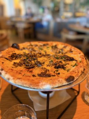 Élephante Scottsdale by null