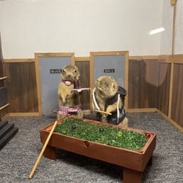 pool sharks . . . i mean gophers