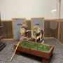 Gopher Hole Museum