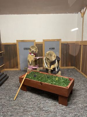 World Famous Gopher Hole Museum by null