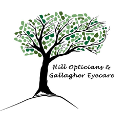 Hill Opticians & Gallagher Eyecare - Hill Opticians & Gallagher Eyecare