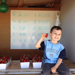 The Strawberry Patch - The best strawberries!