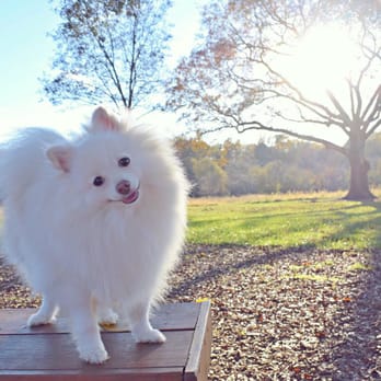 Conestee Nature Preserve - Winston, loving life. - Community Service/Non-Profit Near Me - Greenville, South Carolina Conestee Nature Preserve - Winston, loving life. - Community Service/Non-Profit Near Me - Greenville, South Carolina