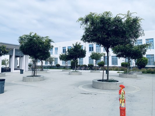 VENICE HIGH SCHOOL Updated April 2025 31 Photos & 30 Reviews