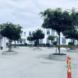 Venice High School