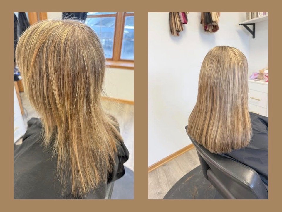 Hair Extender - Sandi Donafee Logo