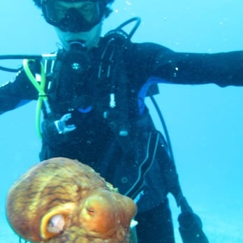 Island Divers - Scuba Diving Near Me - Honolulu, Hawaii
