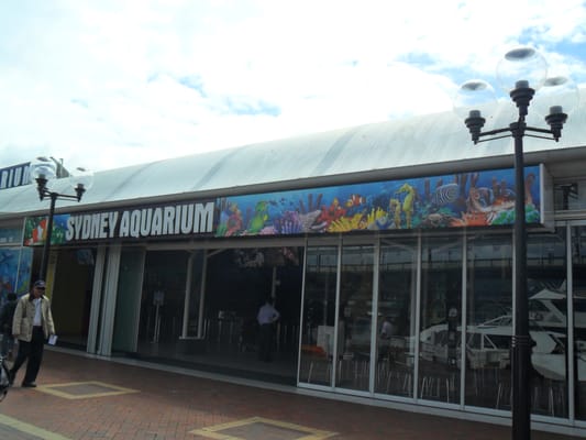 SEA LIFE Sydney Aquarium by null
