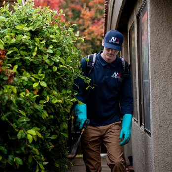 Never Pests Pest Control - Pest Control Near Me Never Pests Pest Control - Pest Control Near Me