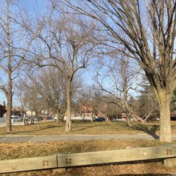 Pelham Parkway - A cold Christmas Eve morning- missing Bailey