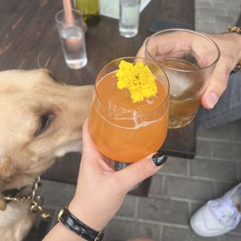 Thorn - Cocktail Bars Near Me - Miami, Florida