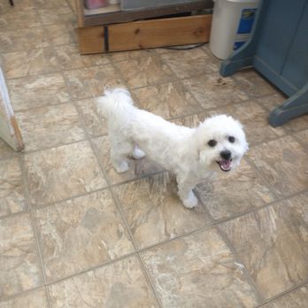Furkids Pet Grooming - Pet Groomers Near Me - Glen Burnie, Maryland Furkids Pet Grooming - Pet Groomers Near Me - Glen Burnie, Maryland