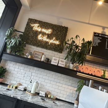 Grounded All Day Cafe - Coffee & Tea Near Me - Lexington, Kentucky Grounded All Day Cafe - Coffee & Tea Near Me - Lexington, Kentucky