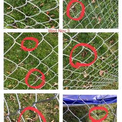 Rescue Crew - Dog poop along fence line of dog foster. Continues to increase. And foster has young children 50#. . Gross.