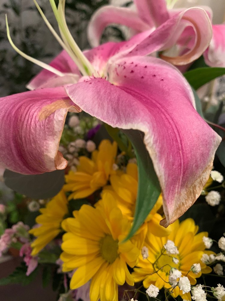 BOLD’S FLORIST & GARDEN CENTER 259 Willow Ave Rt 6, Honesdale