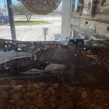 Florida Boy Burger - Burgers Near Me - Fort Myers, Florida