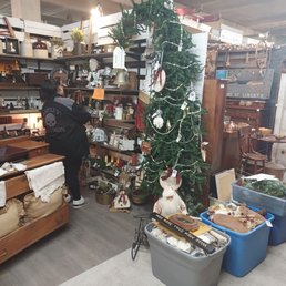 The tree with the top bent over froom the weighted bell